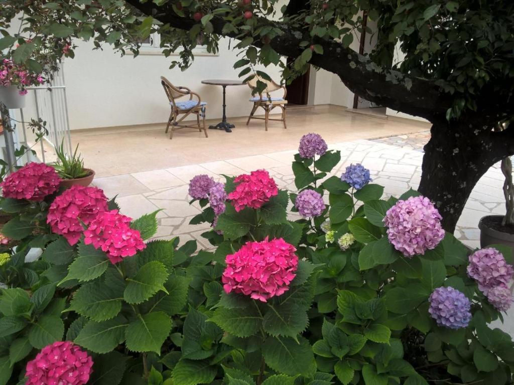 קסטב Apartmani Frlan Ii. מראה חיצוני תמונה