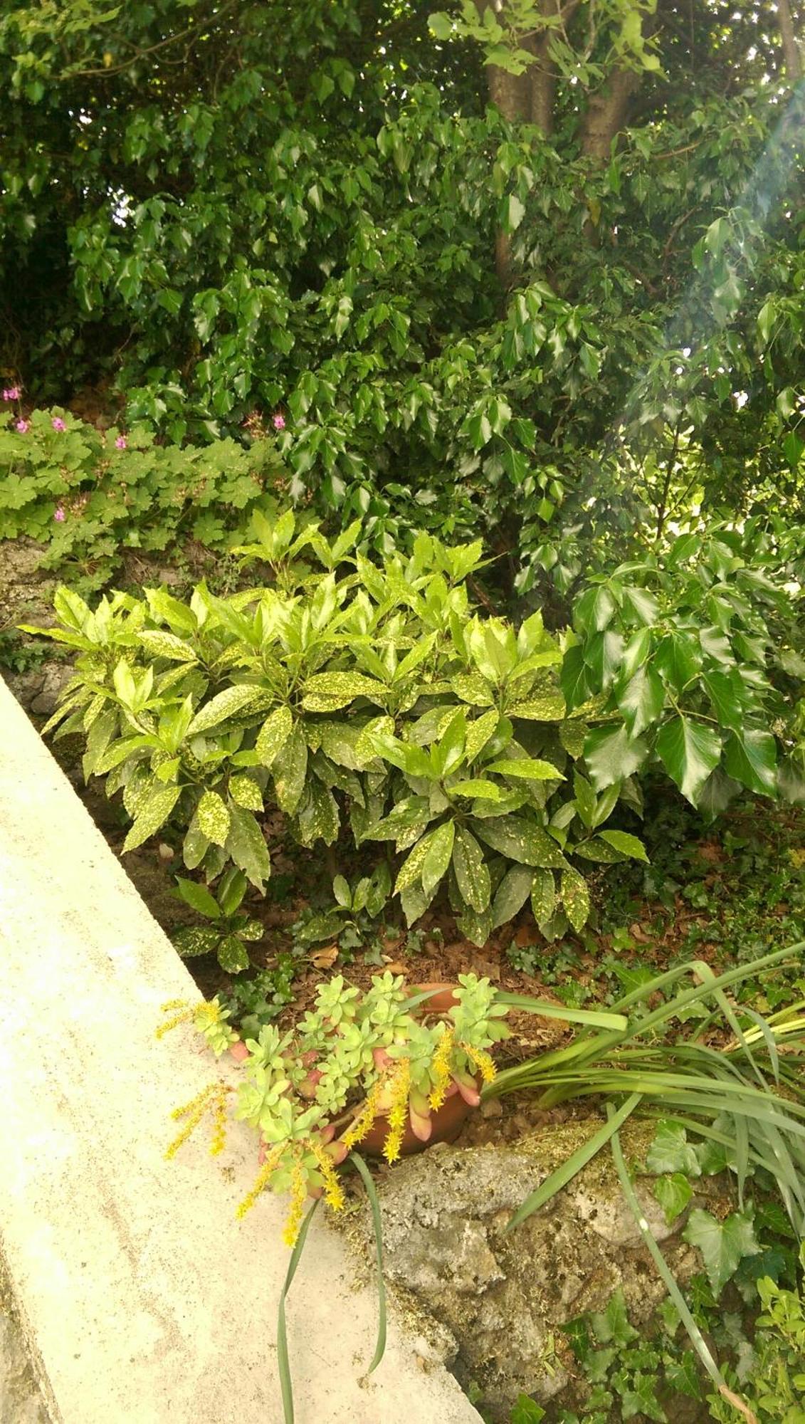 קסטב Apartmani Frlan Ii. מראה חיצוני תמונה